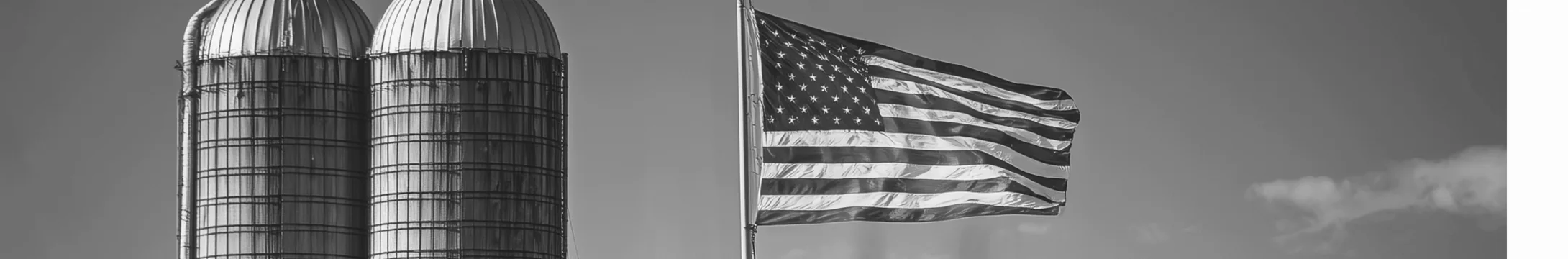 National Security Tax Plan